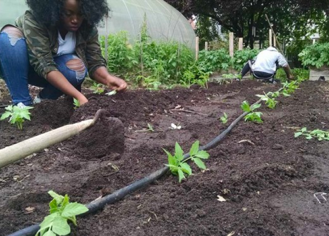 COOKCHALLENGE_14 (1)